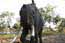 Elephant ride
